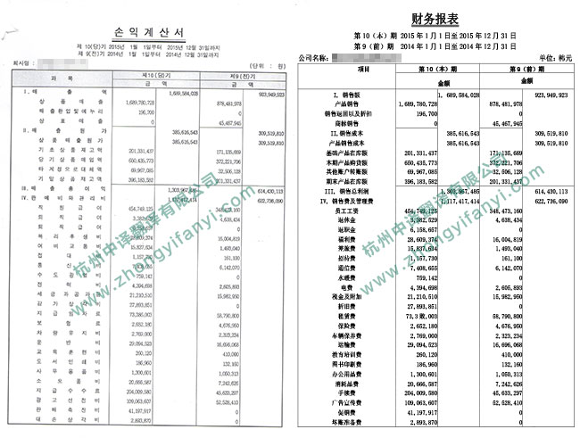 中譯杭州翻譯公司企業(yè)財(cái)務(wù)狀況報(bào)表翻譯件模板.jpg